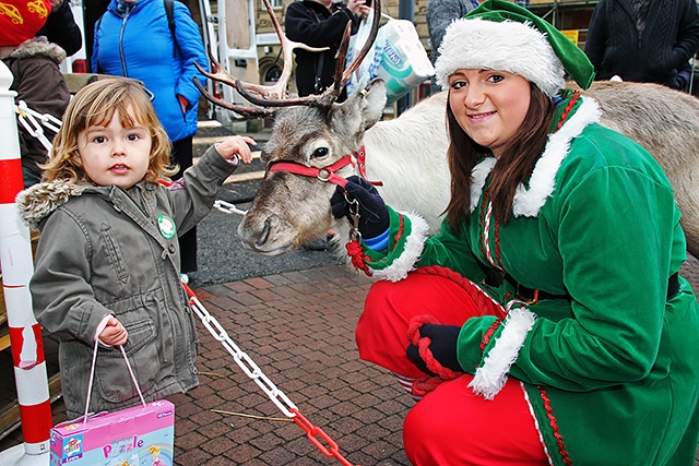 Madison Hallsworth meets a reindeer