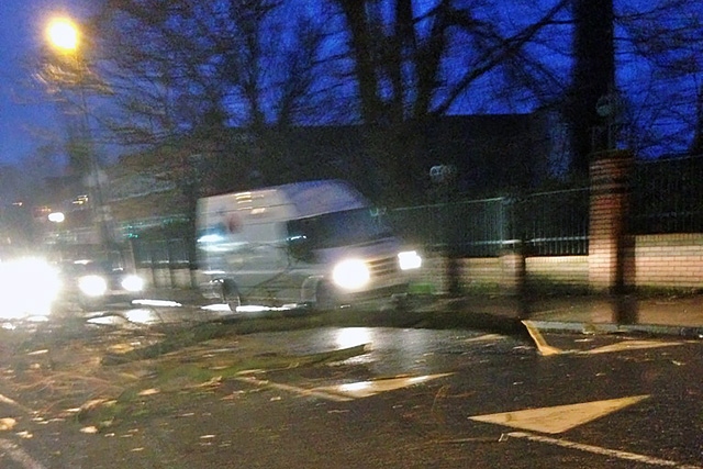 A large tree branch blocking part of Queensway