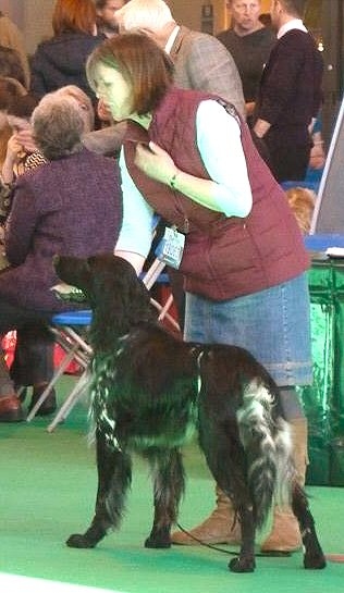 The noble Scout winning first prize in the show ring 