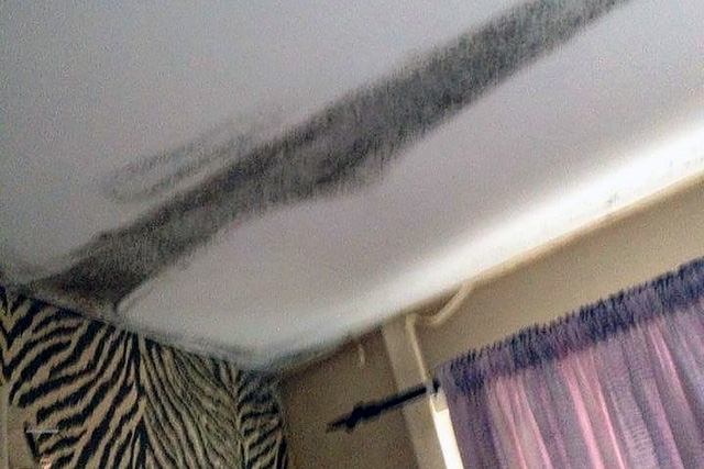 The damp and mould in the Milnrow resident's home