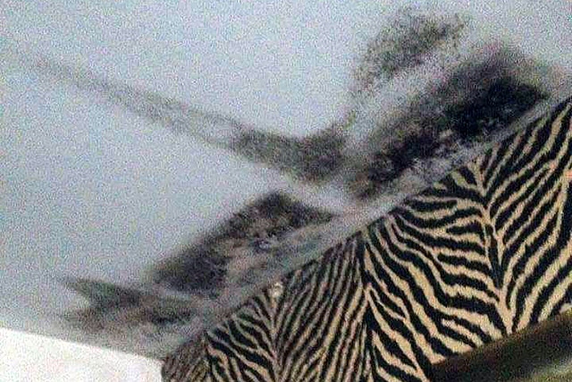 The damp and mould in the Milnrow resident's home