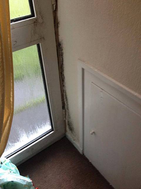 The damp and mould in the Milnrow resident's home