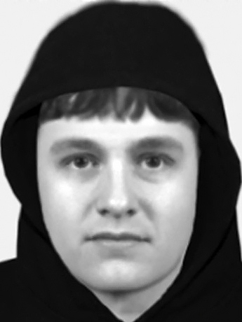 Efit of one of the men who robbed a woman in her own home