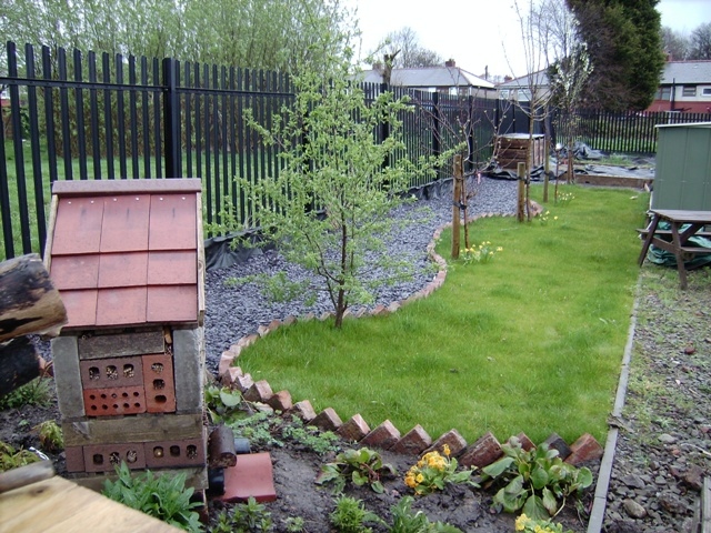 Newly landscaped area that has been planted up with fruit trees and flowers