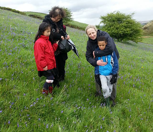 The family walk through woodland carpeted with clusters of bluebells  