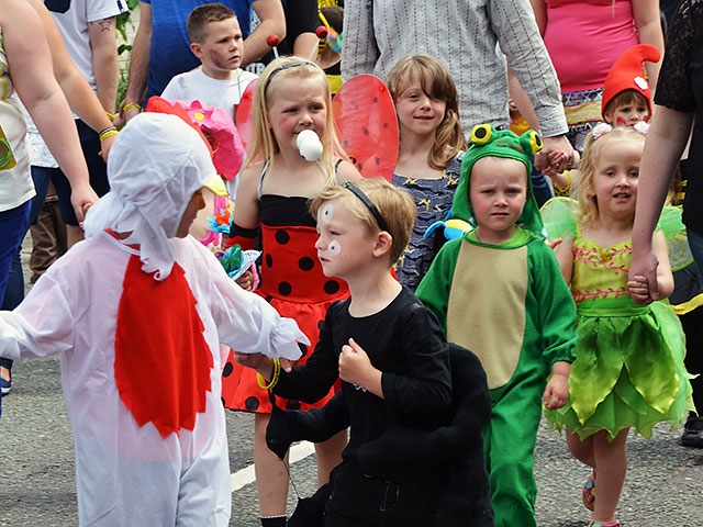 Milnrow and Newhey Carnival 2014