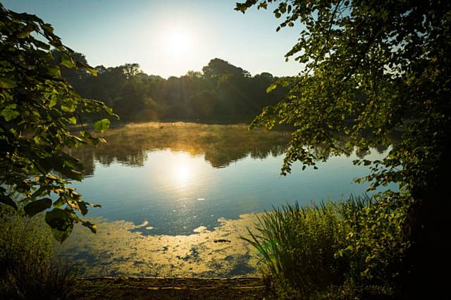 Pond in Queens's Park