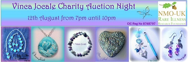 Vinca Jocale charity auction night