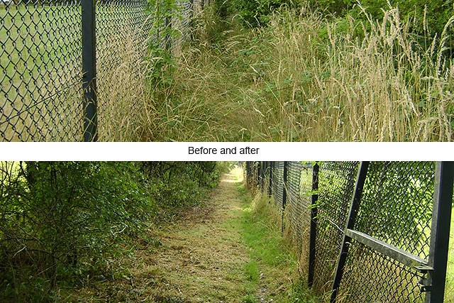 Rochdale Way before and after the green volunteers work