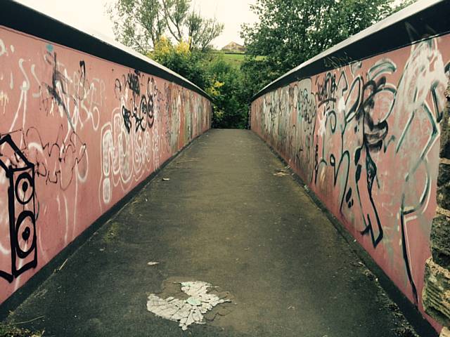 Greenvale Mill bridge before the clean up