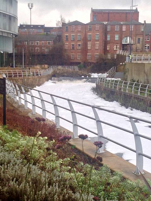 Foam in the River Roch