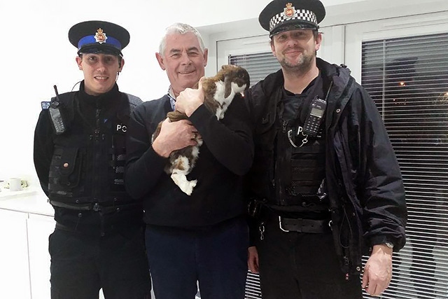 Fudge the rabbit returned to his owner