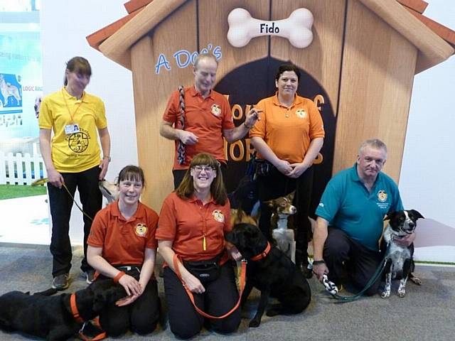 On Track members who took part at Crufts 2015, Martyn Willcock with Murphy working collie, Maria Ferguson with Maverick a Golder Retriever, Ros Founde with Toby a working sheepdog, Peter Yates with Pepper a German Shepherd, Joanne Borg with Abbie a labrador and Shelley Sandiford with Flo a labrador