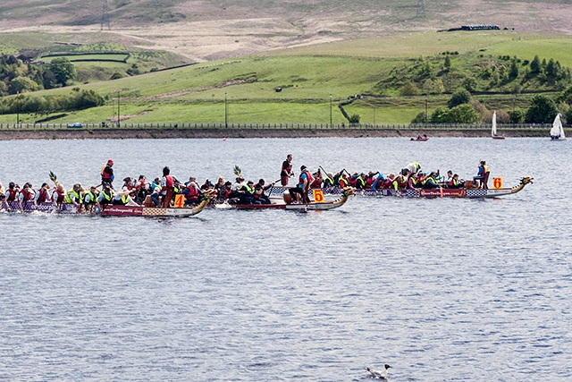 Dragon Boat Race