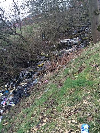 Fly tipping on Stiups Lane