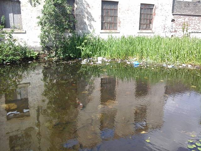 REAG clean Rochdale Canal