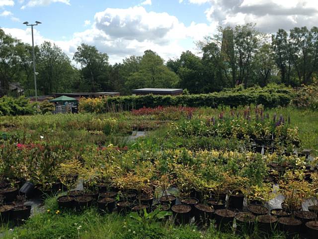 Hopwood Hall College horticulture department plants