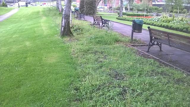 Plans to spray out the weed regrowth, install new flower beds between the benches and plant new flower displays in each bed 