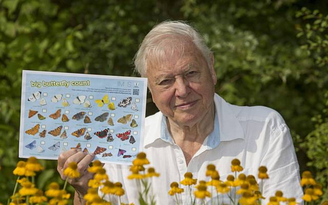 Sir David Attenborough is calling on people in the North West to take part in world's largest butterfly survey this weekend