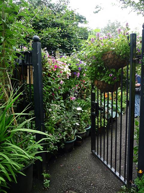 Edenfield Road Alley Gate - Rochdale in Bloom judging day