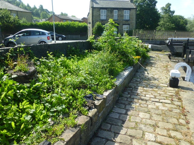 The Littleborough Canal Adoption Group clear Canal Garden at Durn and plant donated plants