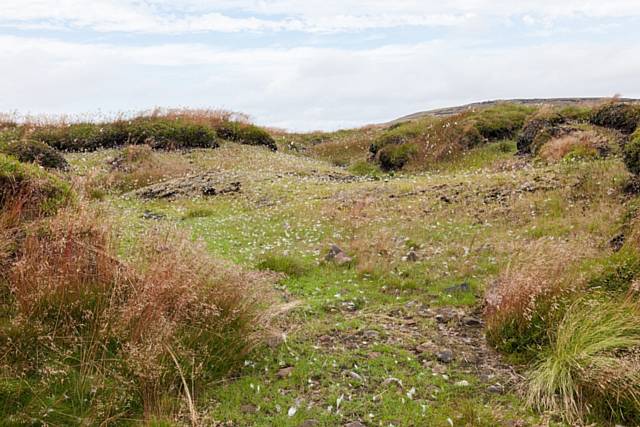 After the five-year conservation project to protect 2,500 hectares of moorland 