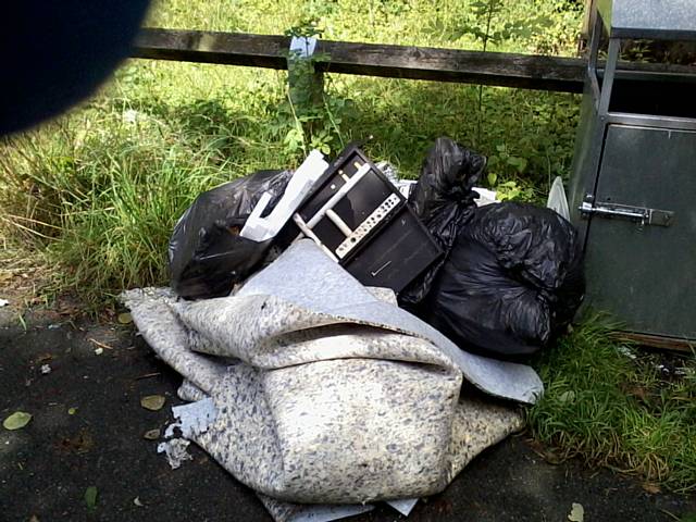 The waste dumped in Healey Dell Nature Reserve in August 2014