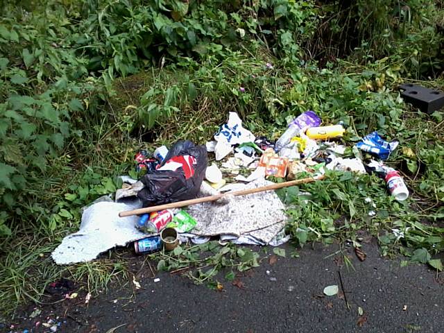 The waste dumped in Healey Dell Nature Reserve in August 2014