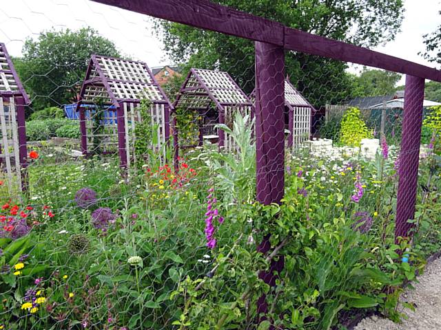 Kellett Street allotment