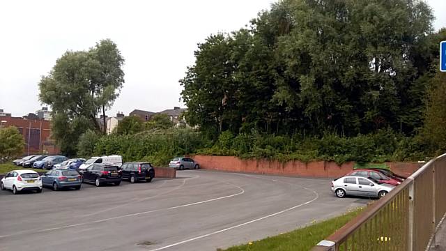 Trees being removed from the back of Town Head House