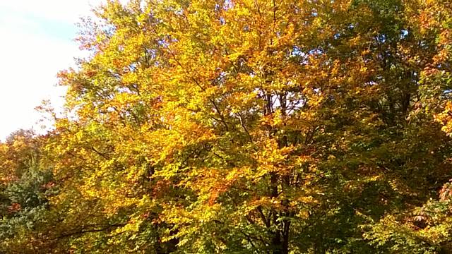 A wet and windy start to October