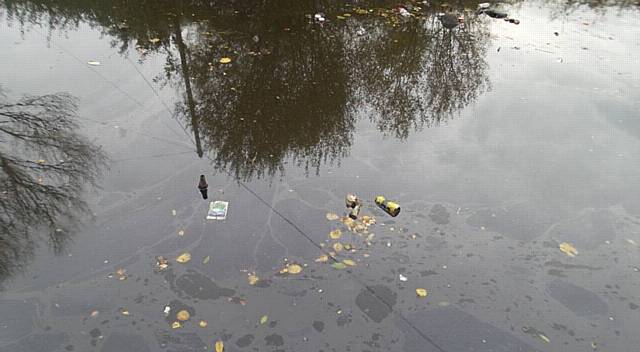 Diesel and rubbish in the canal