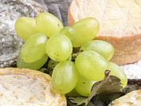 Very young children can choke to death on whole grapes