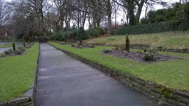 New plants in the old rose beds near the tennis courts in Springfield Park