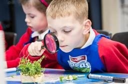 Newhey Community Primary School children discover the lifecycle of a pea plant 