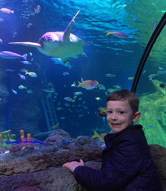 Finn gets VIP visit to Sea Life