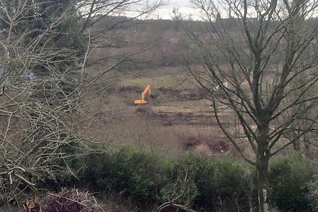 Hundreds of trees ripped up to make way for solar panel farm