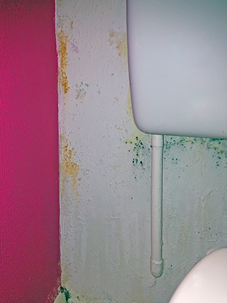 A mum-of-three says extreme damp and mould has made her children ill