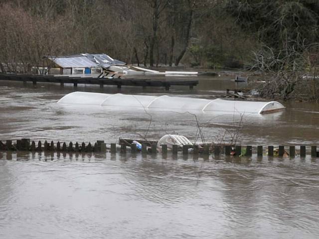 Kellett Street Allotments under 10 feet of water when it was severely hit by the Boxing Day Floods