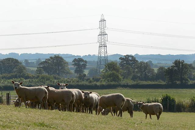 Work to start on £12m project to refurbish an 11km long overhead power line