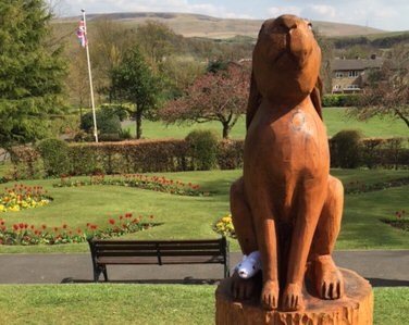 White mouse hides in Hare Hill Park