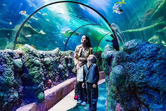 Pauline, Noah and Isaac Journeaux at Sealife