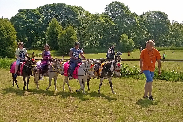 Springhill Hospice Dog Show and Country Fete