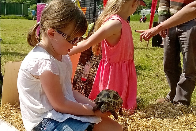 Springhill Hospice Dog Show and Country Fete