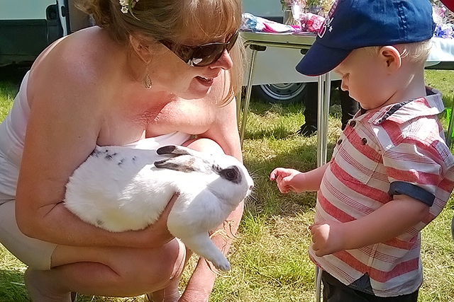 Springhill Hospice Dog Show and Country Fete