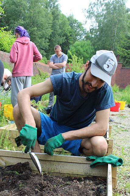 Beeberg Gichki plants some seeds