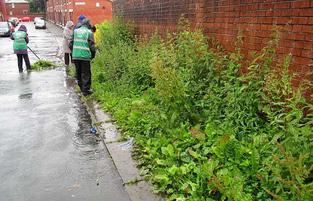 Before REAG cleaned the bushes and weeds in the corner of Cecil Street, Deeplish