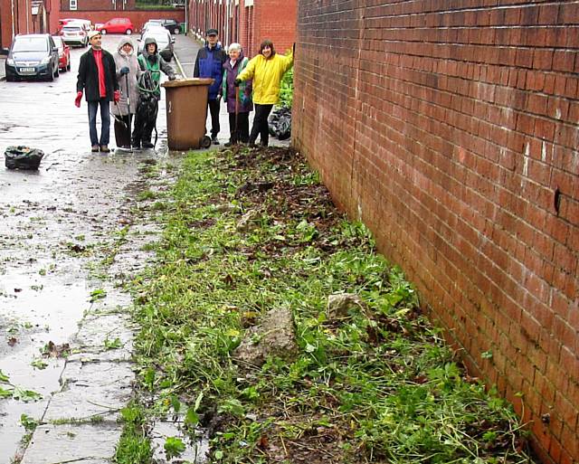 After REAG cleaned the bushes and weeds in the corner of Cecil Street, Deeplish