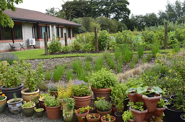 Springhill Hospice planting