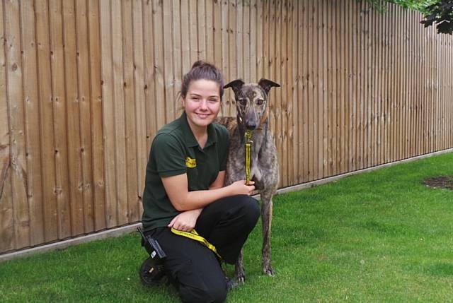 Corinna O'Neill with ex-racer, six-year-old greyhound, Blake